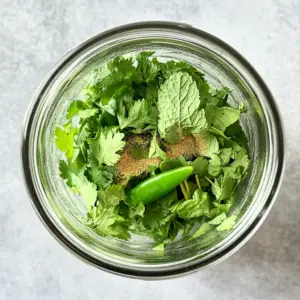 blender jar filled with fresh mint leaves