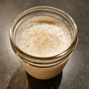 Fermented Vegan Kefir with Coconut and flax